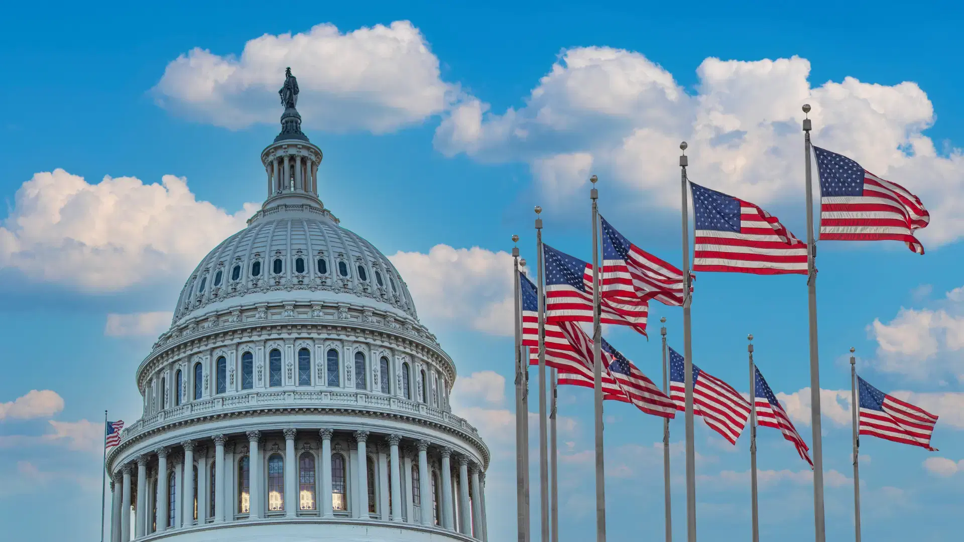 Government services